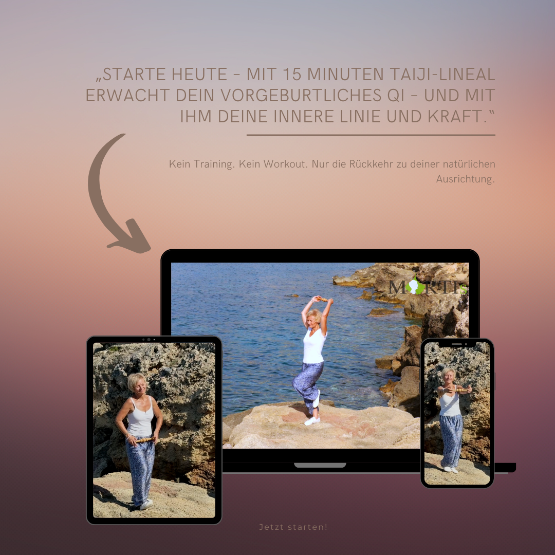 Taiji-Lineal_Mockup_1